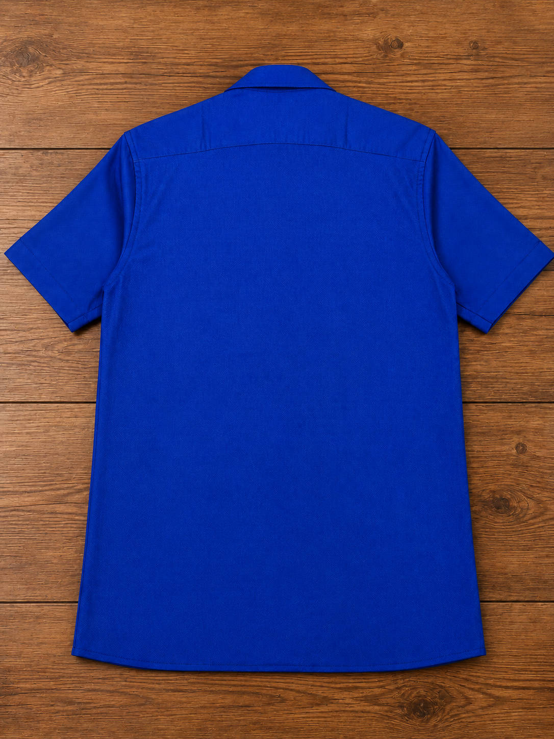 Turtle Blue Half Sleeve Cotton Shirt for Men